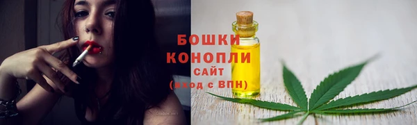 прущие грибы Горно-Алтайск