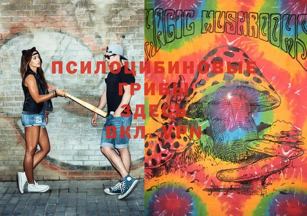 прущие грибы Горно-Алтайск