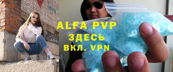 прущие грибы Горно-Алтайск