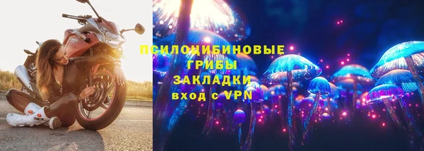 прущие грибы Горно-Алтайск